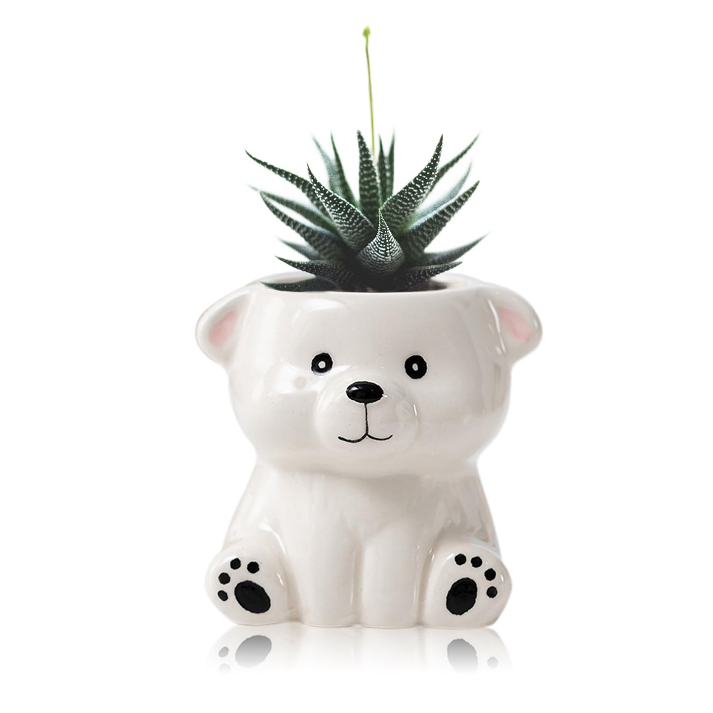 DIYOMR Cute Animals Planter, Mini Ceramic Cartoon Animal Shaped Succulent Flower Pot Indoor Air Plants Holder, Smooth Shiny Decorative Flower Cactus Planter - Plants Not Included (White Bear)