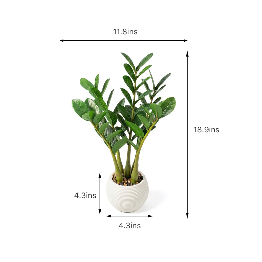 TentoWhan（2Packs Faux Plants Indoor 17" Artificial ZZ Plants in White Pot Fake Potted Zamioculcas Silk Plants for Home Table Decor Bedroom Aesthetic