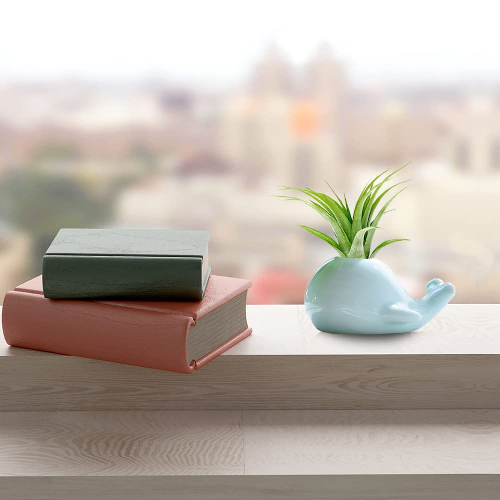 Mimeela Whale Planter Air Plant Holder Unique, Ceramic Animal Succulent Pots Large Air Plants Holders, Cactus Pot Airplant Planter Holder Office Desk Decor (Light Blue Whale)