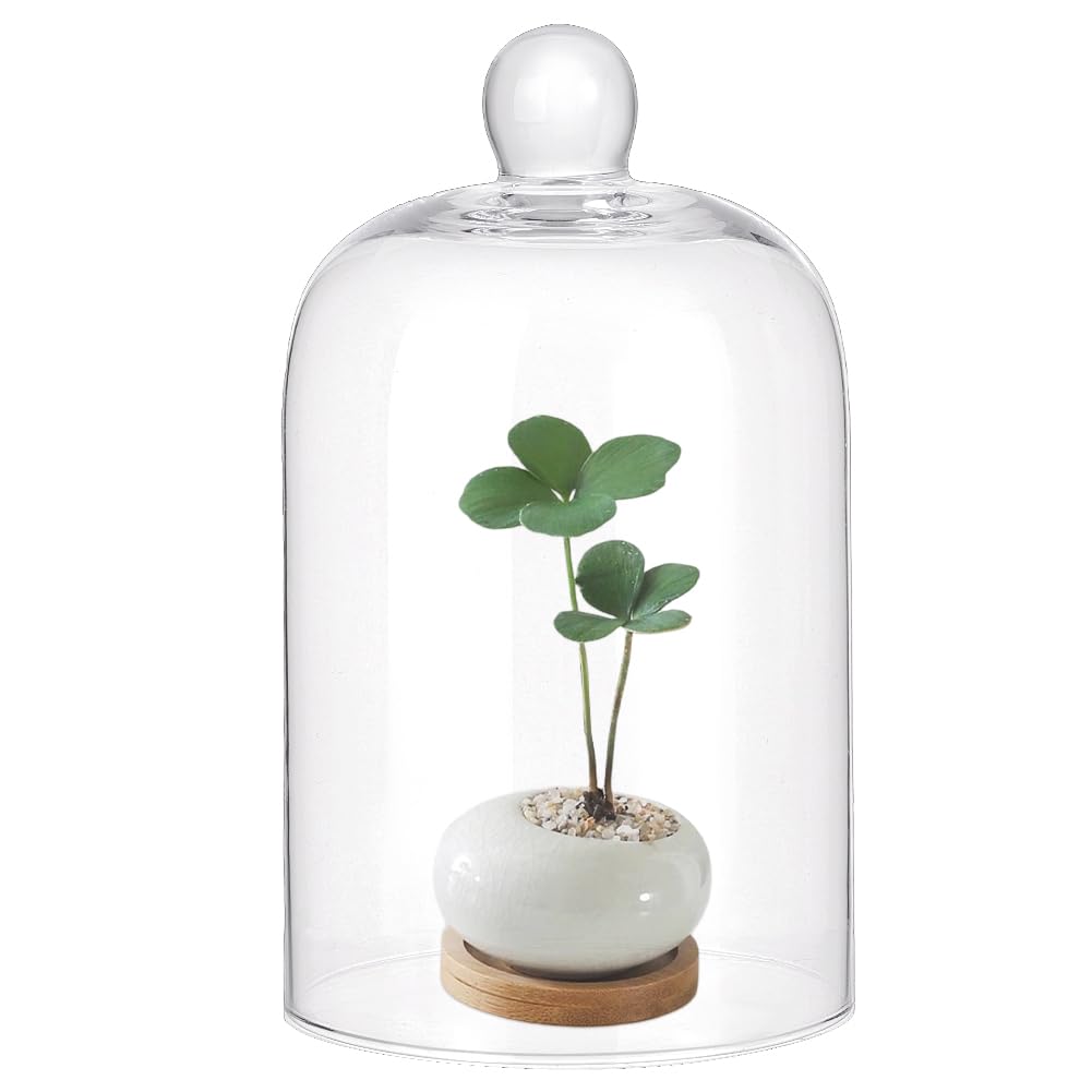 PH PandaHall 6x3.5 Inch Glass Dome Glass Cloche Mini Crystal Cloche Display Dome Vintage Style Pocket Watch Display Dome Bell Jar for Flower Jewellery Christmas Centerpiece Supplies, No Base