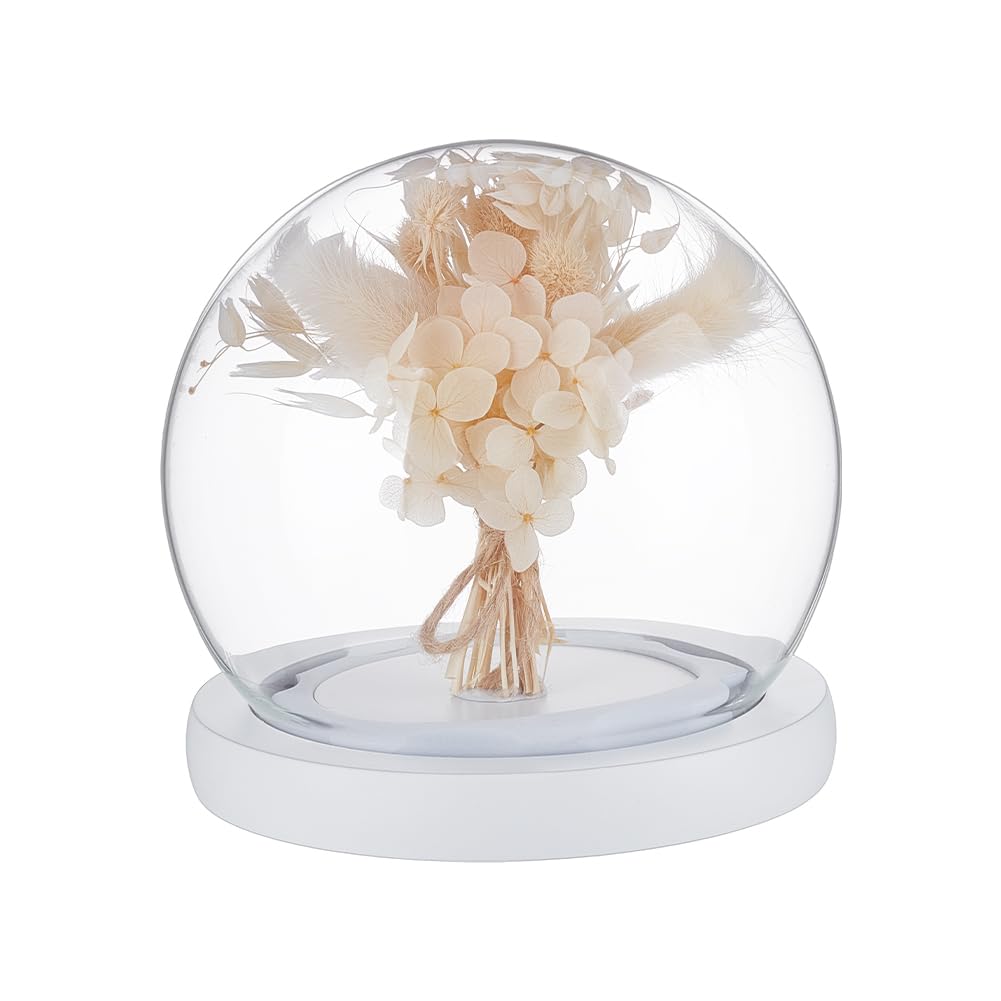 NBEADS Glass Display Dome Cloche, Eternal Flower Glass Dome Cover with Wood Base Anti-Shedding Design Arch Bell Jar Cloche for Centerpieces Plants Rocks Specimens Decorations Crafts, 4.5x4.7inch