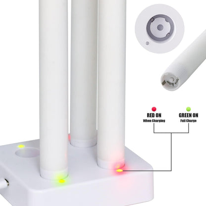 PChero Rechargeable Taper Candles with Remote Timer, 9.8 Inches Real Wax Flameless LED Tapered Candles USB Chargeable for Fireplace Xmas Holiday Home Decor, 2 H Charge/130 H Work Time