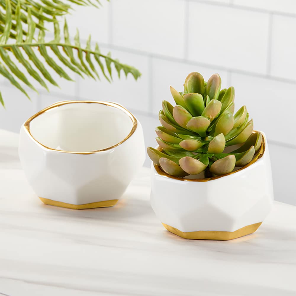 Kate Aspen Geometric Ceramic Planters, Mini Decorative Bowls (Set of 3) Small- Succulent Pots, Modern Decor, Shelf Decor, Desk, Table Décor, White