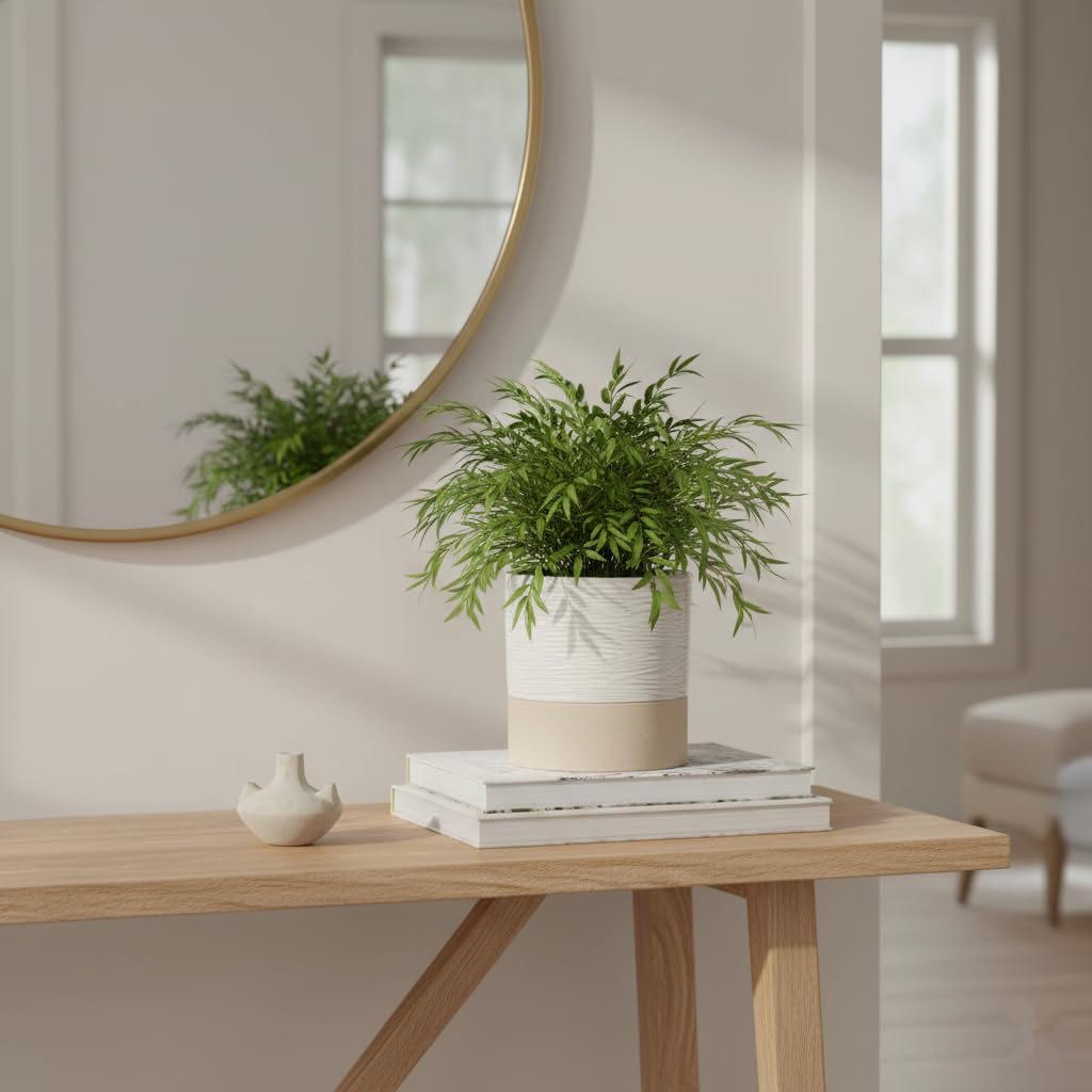 Nihow Self Watering Plant Pot: 6 Inch Ceramic Planter with Drainage Hole & Water Storage Plus for Indoor & Outdoor Plants - Cylinder Round Flower Pot for Succulent/Herbs/Violets - Cream White & Brown