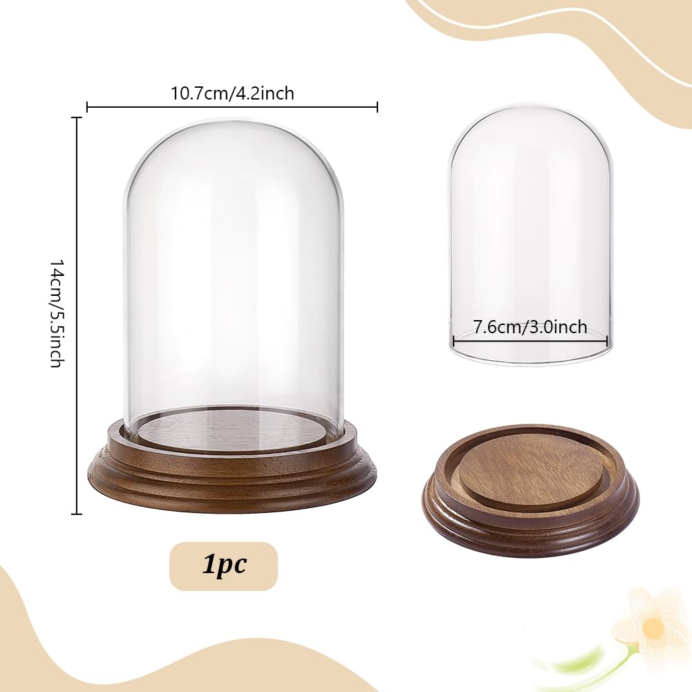 PH PandaHall 4.2" x 5.5" Glass Display Dome Cloche, Clear Bell Jar Display Case Glass Dome Tabletop Centerpiece with Solid Wood Base for DIY Snow Globes Flowers Plants Birthday Home Decor, Deep Brown