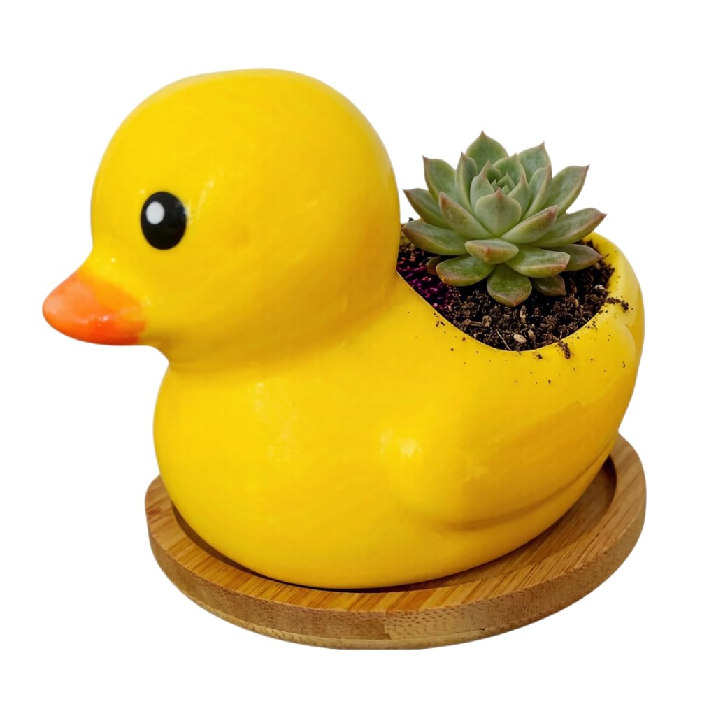 SJBAG Cute Indoor Cartoon Animal Duck Shaped Ceramic Succulent Cactus Flower Plant Pots Planter with Drainage Hole - Plant Not Included (Small)