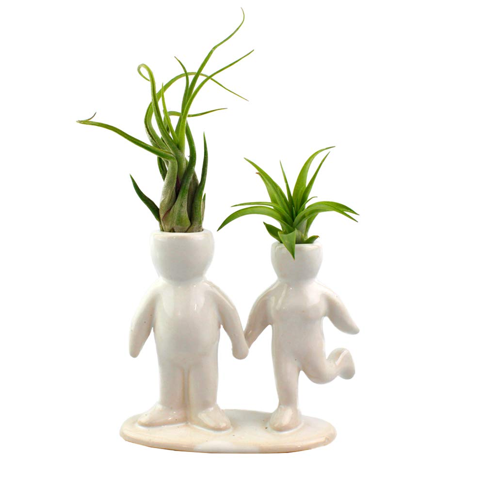 NW Wholesaler 5 Inch White Ceramic Couple Holding Hands People Shaped Planter with Two Live Tillandsia Air Plants - Potted Indoor Air Plants for Home and Office Decor