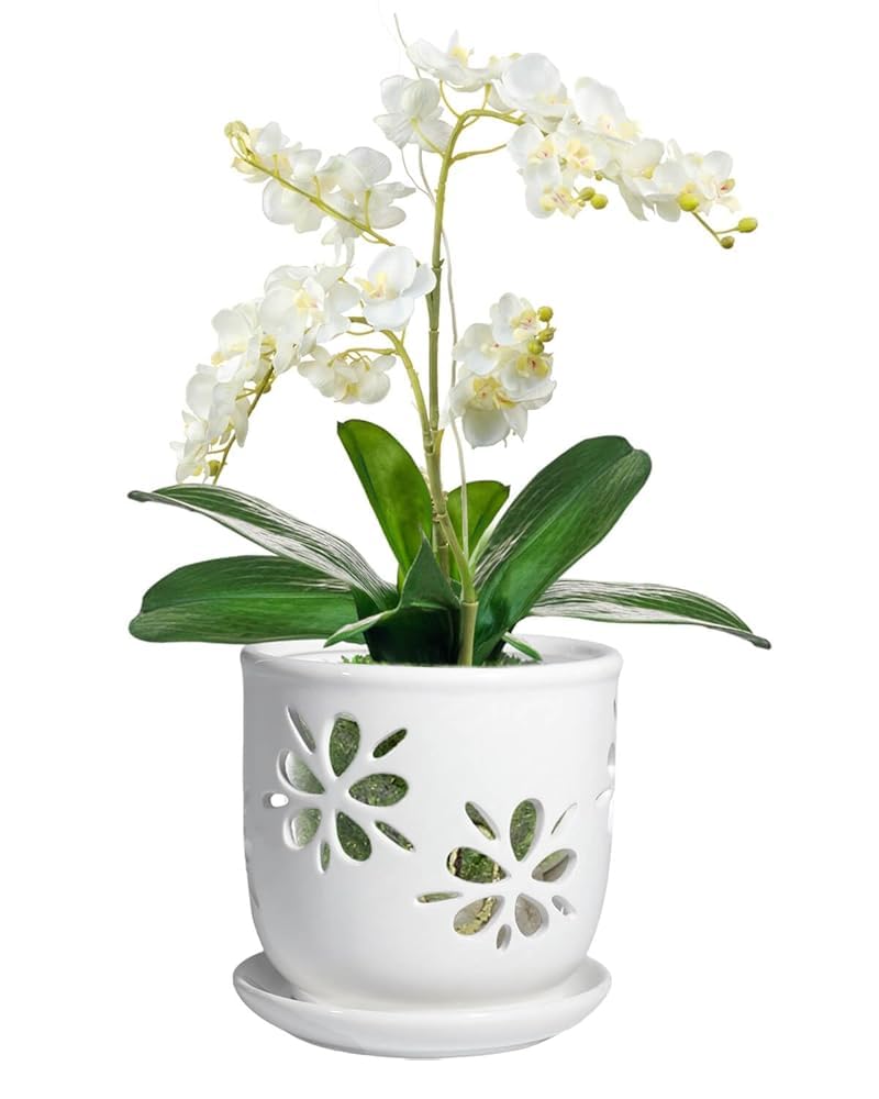vensovo 6 Inch Orchid Pot with Holes and Saucer - White Ceramic Orchid Planter for Repotting, Flower Pot for Indoor/Outdoor Plants (1 Pack)