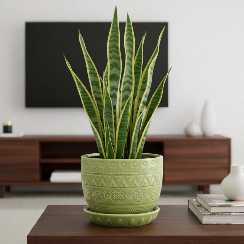 G EPGardening Indoor Plant Pot 5.5 Inch - Ceramic Planter with Drainage Hole and Saucer, Round Boho Plant Pot for Indoor Plants, Plant Lover Gifts, Home Garden Office Decor, Green