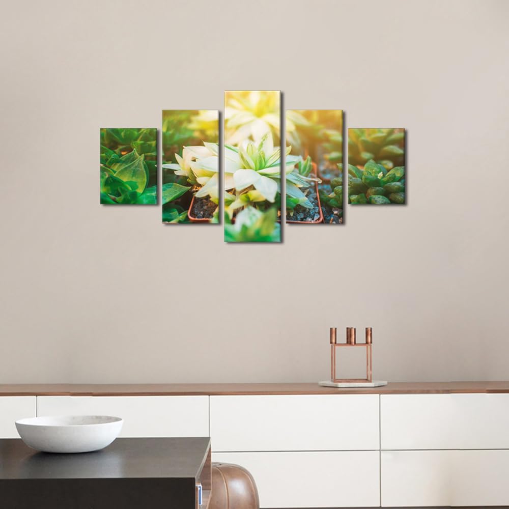 Framed Wall Art 5 Panel Collection of Succulents, Cacti, Echeveria Kalanchoe and Succulent House Plants Poster for Living Room, Wooden Framed Gallery-Wrapped Ready to Hang, 60" Wx32 H