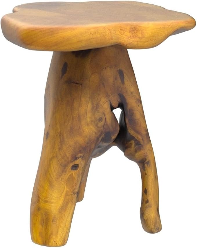 Small Side Table, Unique Design Live Edge Wood Stool, Freeform Natural Plant
