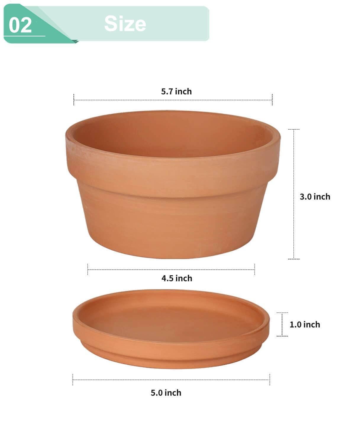 vensovo 5.7 Inch Terracotta Shallow Succulent Pot - 6 Pack Terra Cotta Clay Pots with Saucer, Cacuts Terra-Cotta Indoor and Outdoor Planters with Drainage Hole