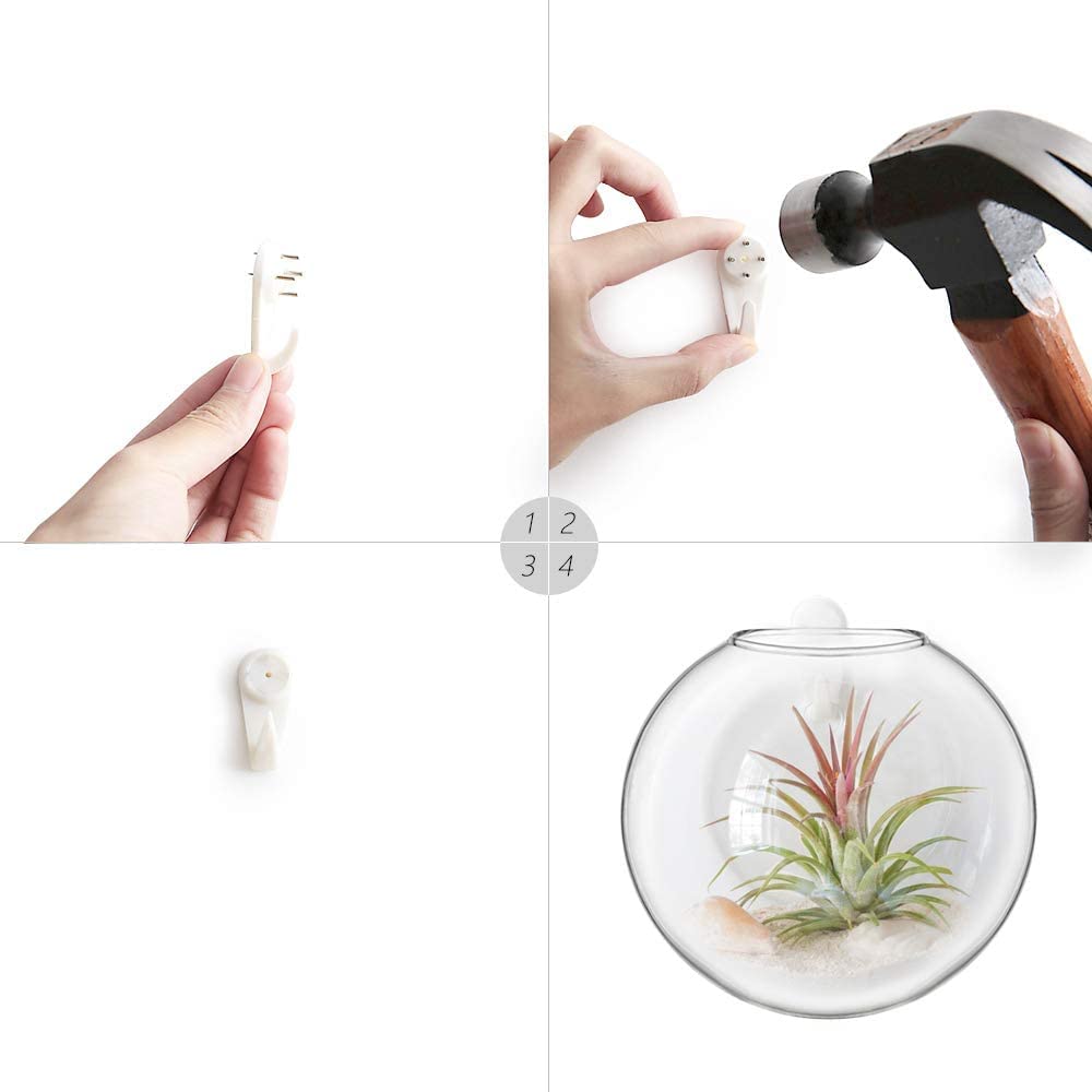 Mkono Wall Hanging Planter Propagation Station Glass Flower Vase for Hydroponics Plants, Bathroom, Home Office Living Room Decor Gift, Oblate Set of 3(Plants not Included)