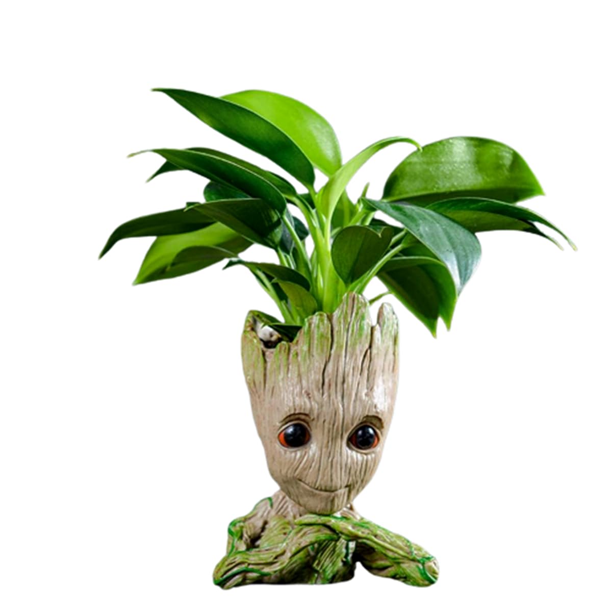 WT WINGTENG Unique Planter for Indoor Plants Pot Cactus Cute Flowerpot with Drainage Hole,Funny Succulent Planters Home Decor Adorable Christmas Birthday Gift for Plant Lovers -6 inch