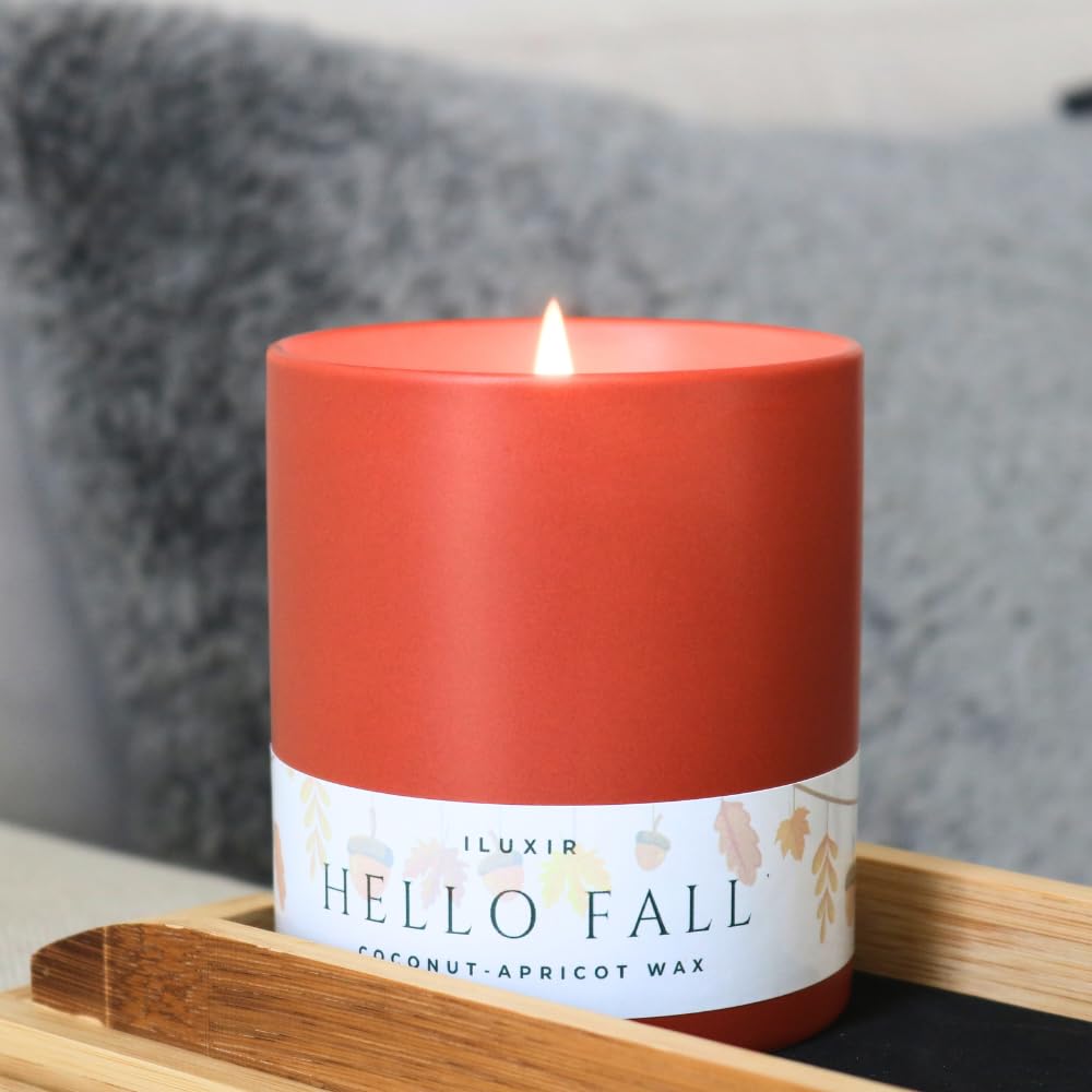 iLUXIR Hello Fall Luxury Candle – Apple Cinnamon, Nutmeg, Clove & Vanilla – Handcrafted Vegan Coconut Wax, Phthalate-Free, Cruelty-Free – Autumn Scented Candle for Home Décor & Gifting (13 oz.)