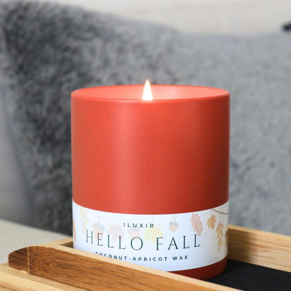 iLUXIR Hello Fall Luxury Candle – Apple Cinnamon, Nutmeg, Clove & Vanilla – Handcrafted Vegan Coconut Wax, Phthalate-Free, Cruelty-Free – Autumn Scented Candle for Home Décor & Gifting (13 oz.)