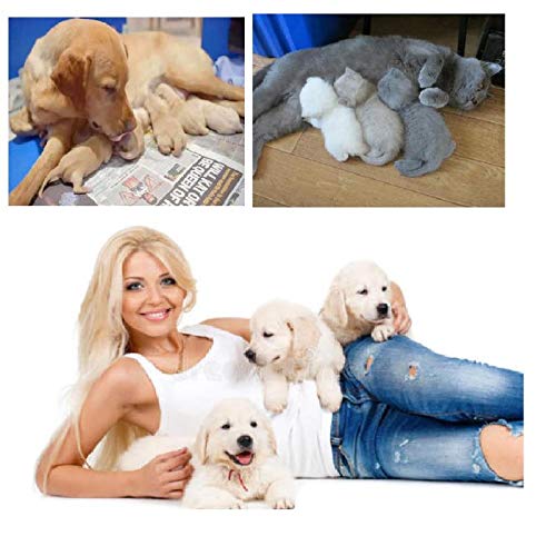GSSFASHION Puppy Kitten Whelping Kit, Whelping Kit with Feeding Nipple Bottle Scissors Cord Clamps Aspirator etc Full kit