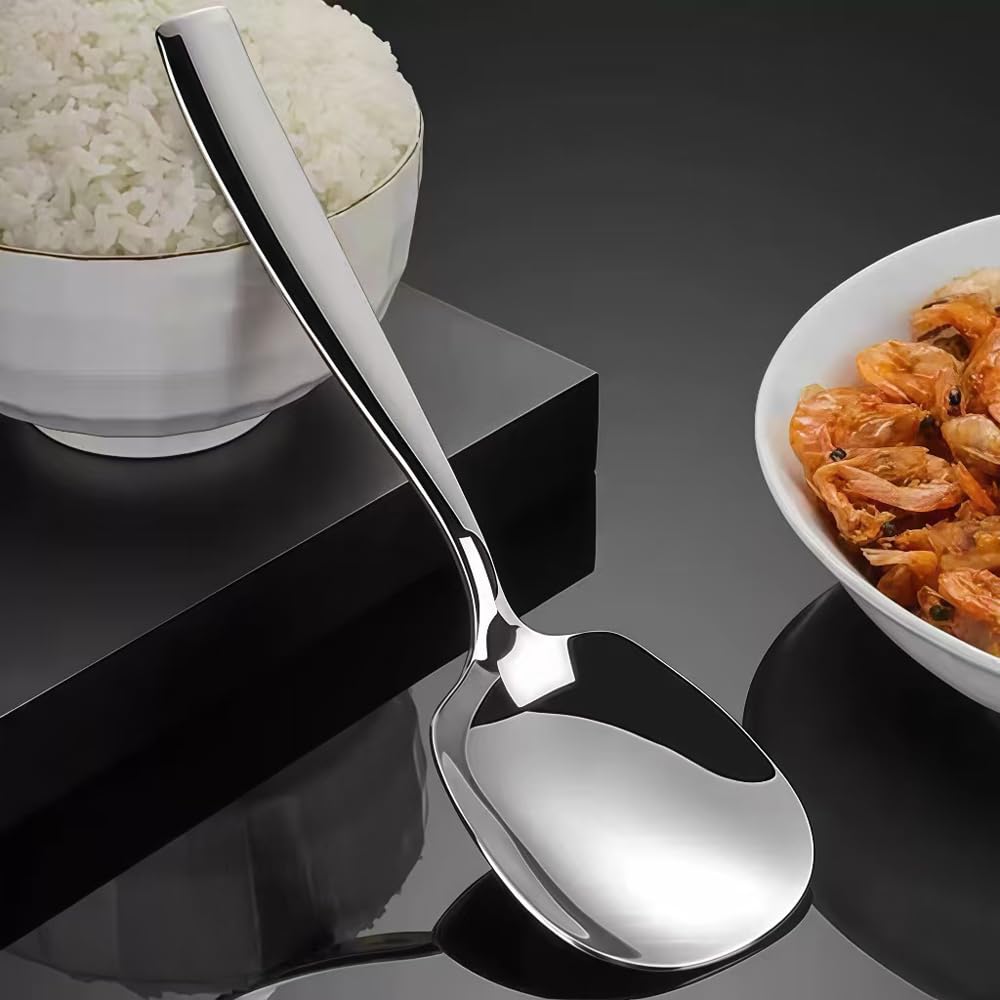 ZDFQly Large Serving Spoon, Premium 316L Stainless Steel Buffet Serving Spoon 9.5 Inch (1pack)