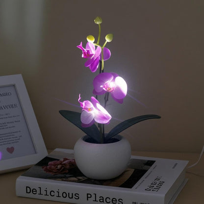 Naimo Phalaenopsis Night Light Rechargeable LED Night Lamp Flower Table Lamp for Bedroom Living Room Birthday Party Desktop Home Decor