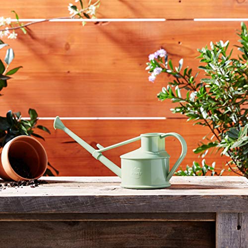 Indoor Plastic Watering Can | The HAWS Langley Sprinkler - One Pint | Pot Waterer | Fine Spray Rose | Sage
