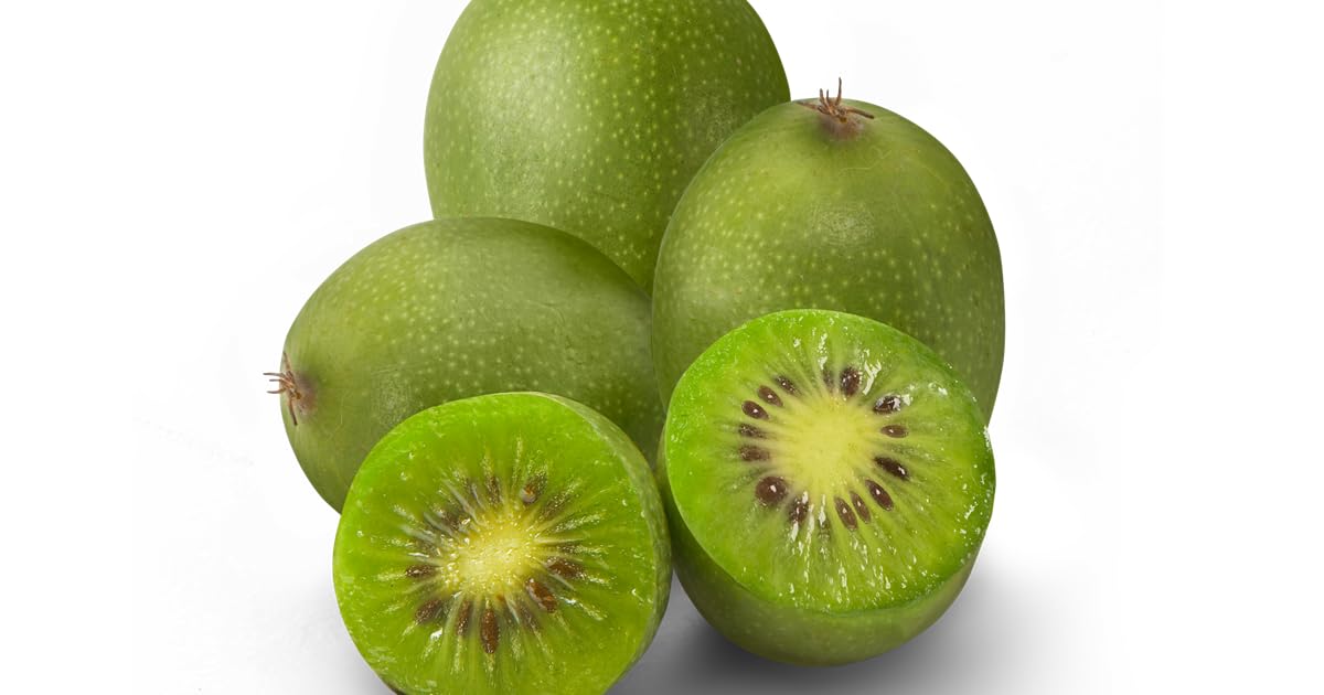Dwarf Kiwi Tree Seeds, Hardy Fruit Plant, 20 Seeds Sweet and Edible.Limited Supply Order Now!