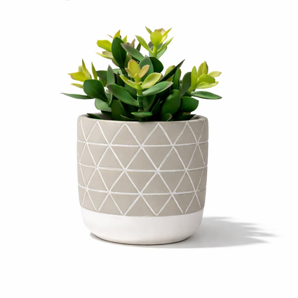 Kurrajong Farmhouse 8" high Artificial Plant in Pot - Small Faux Plant for Desk, Kitchen, Bathroom, Shelf & Coffee Table - Realistic Indoor Plant for Home Decor