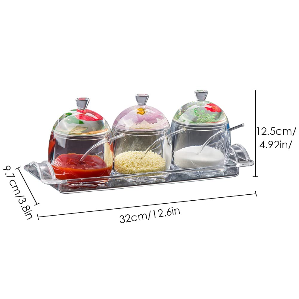 TINMIX Clear Seasoning Box - 3PCS Acrylic Condiment Pots for Salt Sugar Herbs, Spice Jar Containers with Base, Dried Flower Handle Lids and Spoons