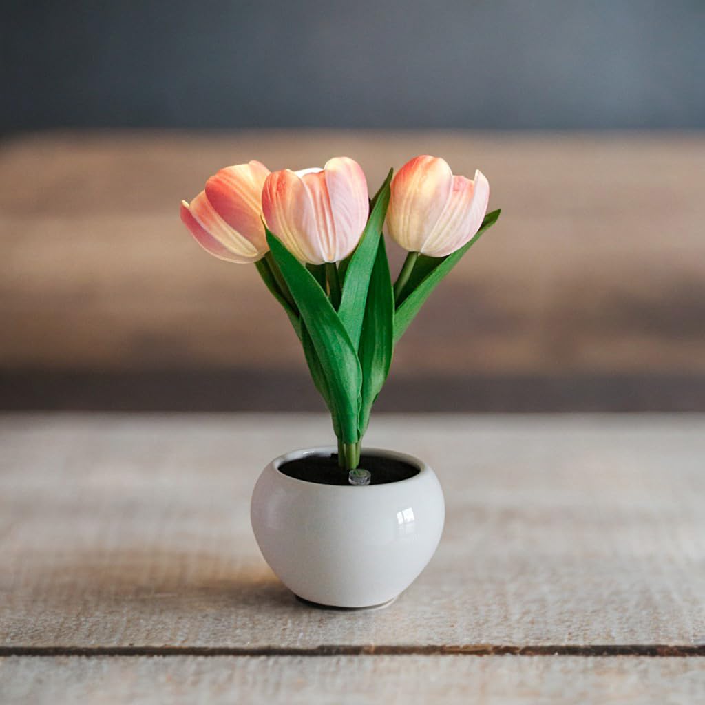 Naimo Tulip Night Light Rechargeable LED Night Lamp Flower Table Lamp for Bedroom Living Room Birthday Party Desktop Home Decor