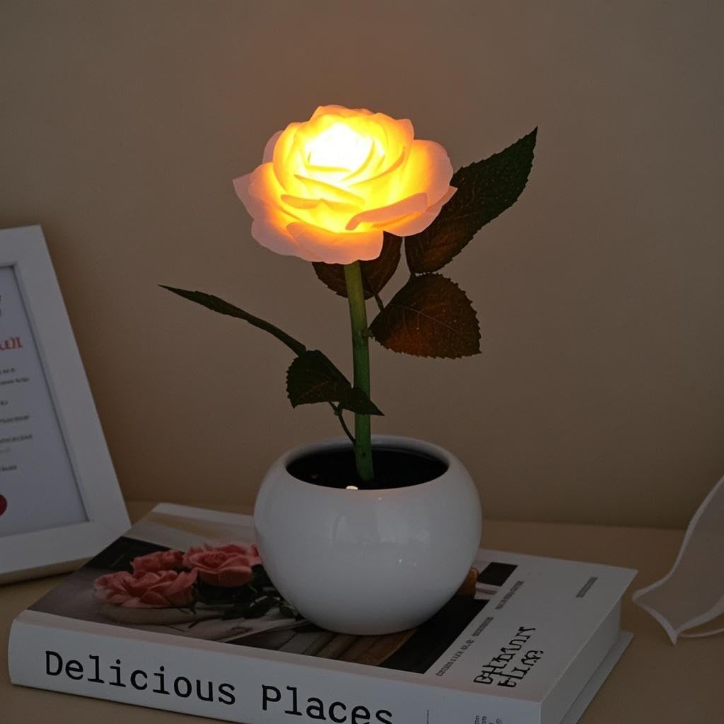 Naimo Flower Night Light Rechargeable LED Night Lamp Rose Table Lamp for Bedroom Living Room Birthday Party Desktop Home Decor
