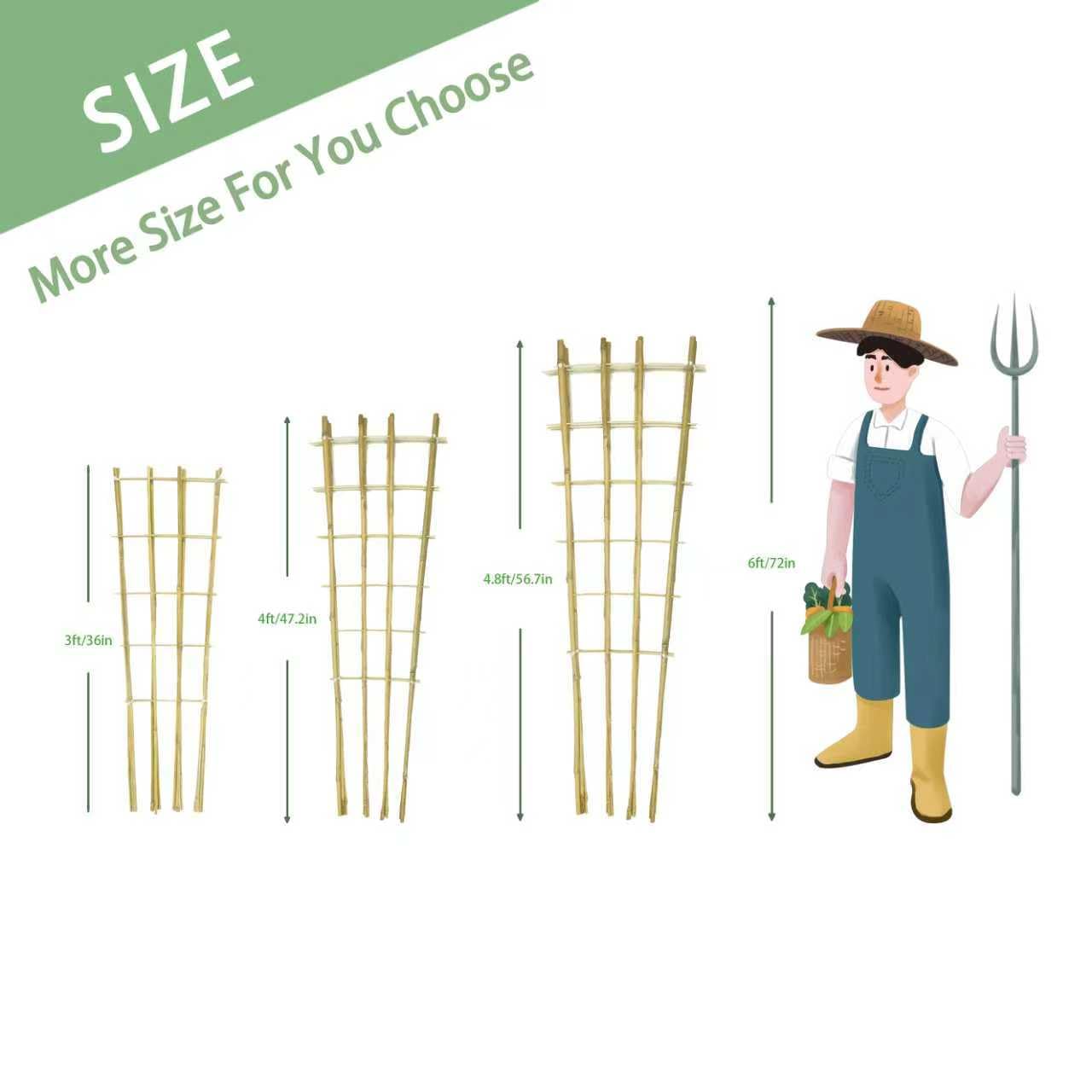 Natural Bamboo Trellis, 4.8Feet,3Pack,Fan-Shaped Plant Support Trellis for Outdoor and Indoor Potted Climbing Plants,Vegetables, Cucumber, Tomato, Hoya,