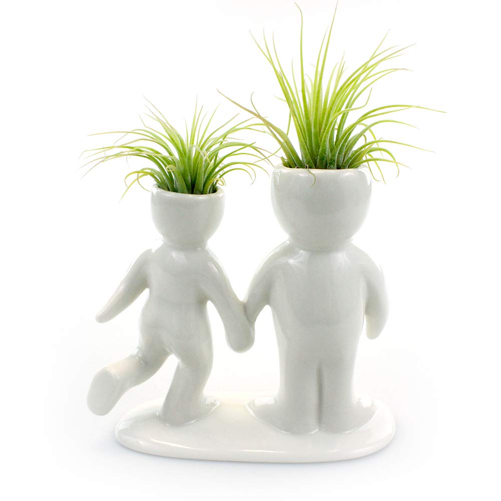 NW Wholesaler 5 Inch White Ceramic Couple Holding Hands People Shaped Planter with Two Live Tillandsia Air Plants - Potted Indoor Air Plants for Home and Office Decor