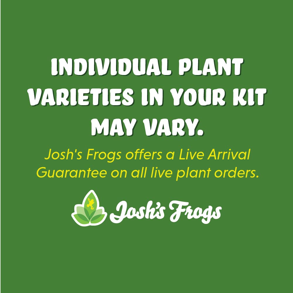 Josh's Frogs 12x12x24 Vivarium Plant Kit (3 Plants)