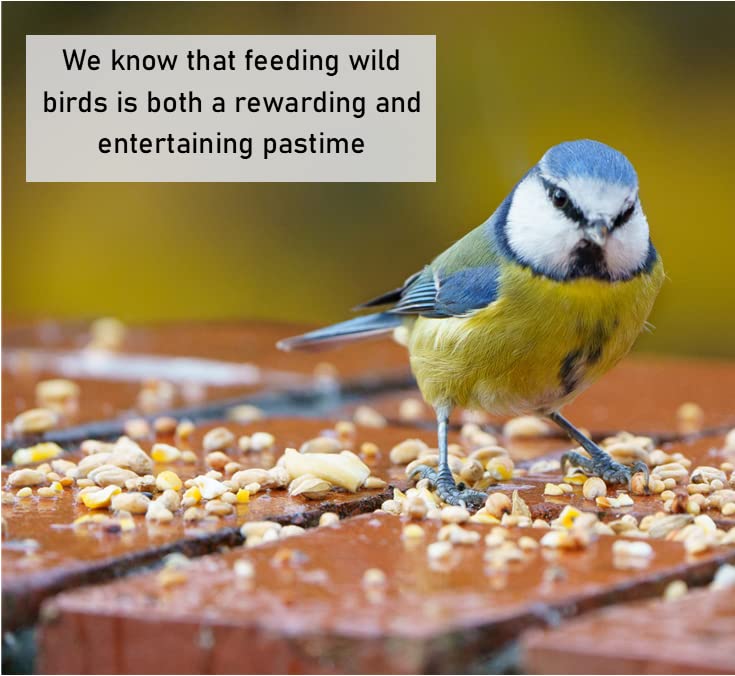 Dried Mealworms 2kg Premium Insectivorous Wild Bird Food