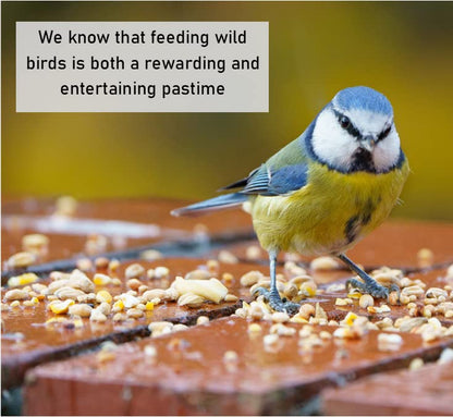Dried Mealworms 2kg Premium Insectivorous Wild Bird Food