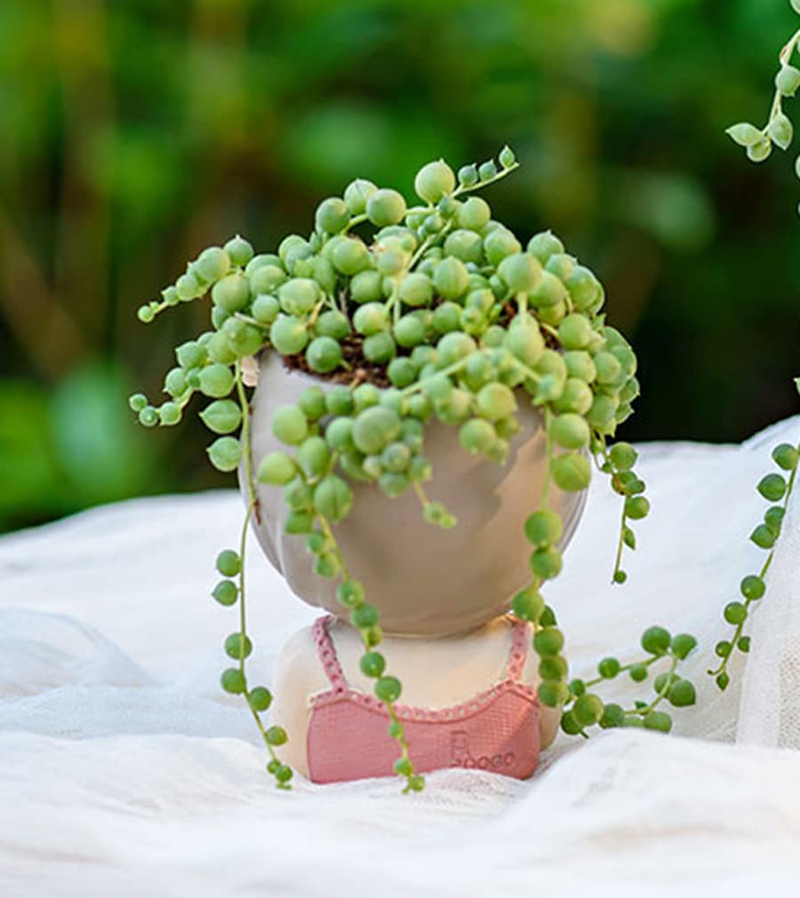 Cute Head Planter Resin Succulent Planter Little Girl Flower Pot, Human Face Cactus Plants Container Bonsai Holder Thumb Pot Fairy Figurine Statue Planters with Drainage Decor Gift (Quiet Girl)