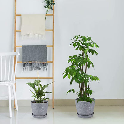 Plant Pots Indoor, 6Pack Plastic Plant Pots 19/17.5/16.5/15.5/14/11.5cm, Flower Pots Outdoor Self Watering Indoor Plant Pot with Drainage Holes and Tray, Plastic Planter for Garden House Plants(Grey)