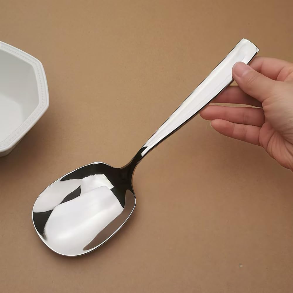 ZDFQly Large Serving Spoon, Premium 316L Stainless Steel Buffet Serving Spoon 9.5 Inch (1pack)