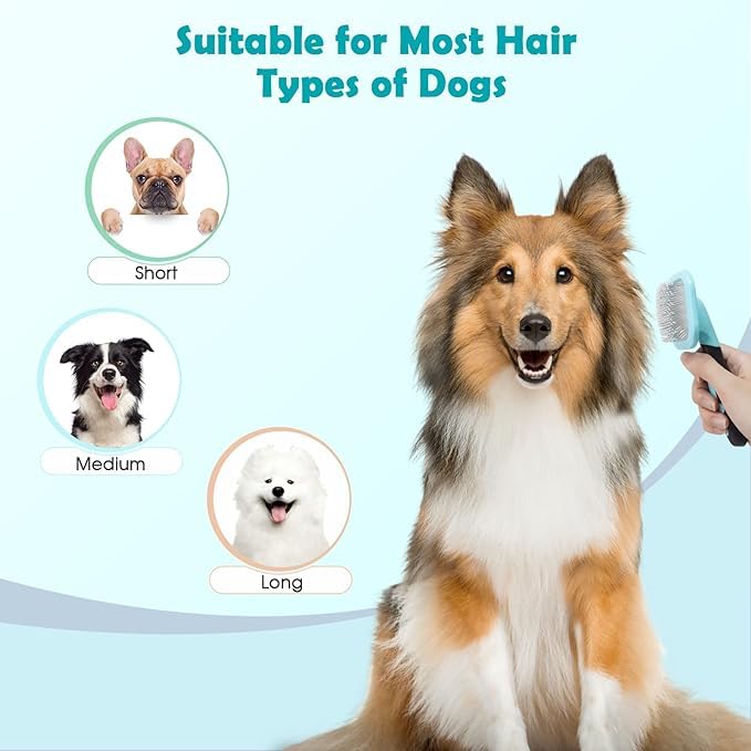 PETPAWJOY Dog Cat Slicker Brush, Gently Cleaning Pin Brush for Shedding Dogs Hair Brushs for Small Puppy Yorkie Poodle Rabbits Cats