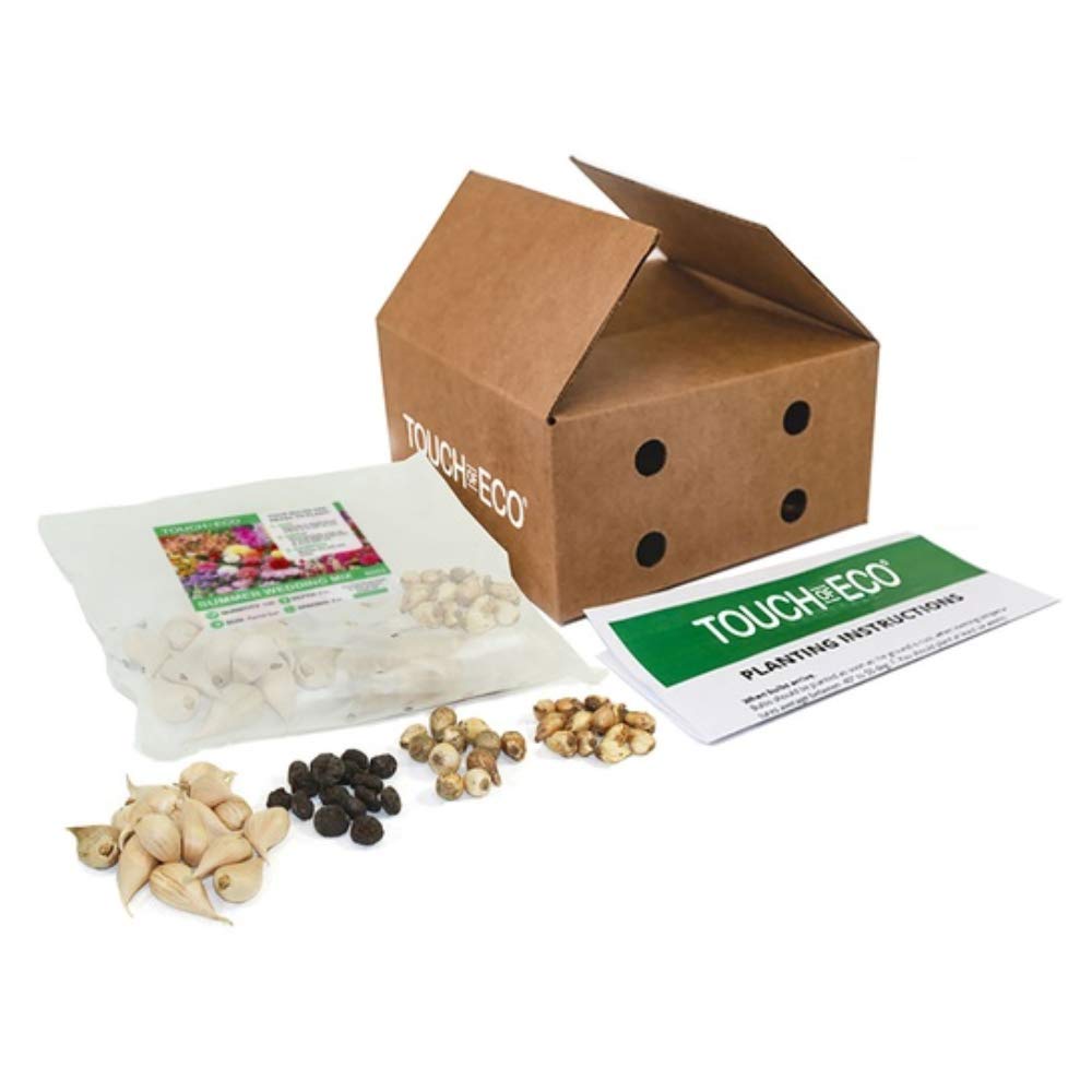 Amazing Deal - Complete Spring & Summer 100 Bulbs - Garden Party Flower Bulb Collection - Beautiful Sun Loving Flowers with Large Corolful Blooms - Variety Colors - Butterflies, Bees & Hummingbirds