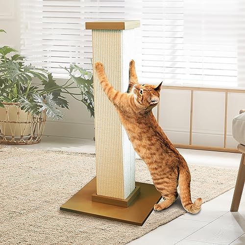 Smart Cat The Ultimate Scratching Post