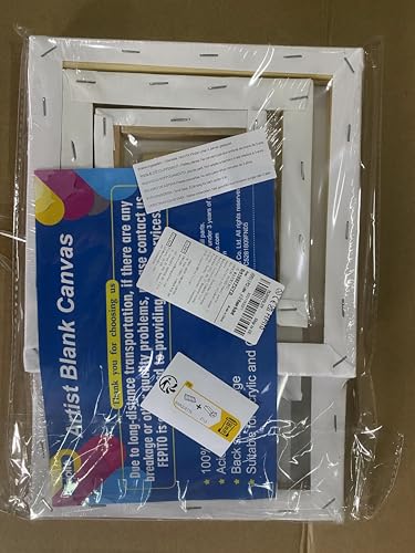 FEPITO 6 Set Blank Stretched Canvas Assorted Size Artist Canvas Multipack Canvases for Acrylic Oil Water Painting