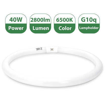 Aigostar 40W T9 Circular Fluorescent Light Tubes, Energy Saving Fluorescent Tube Lights 6500K Cool White G10q 2800LM