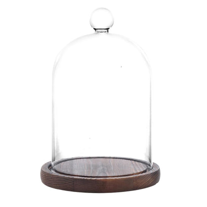 PCYMYN Glass Cloche Dome Bell Jar Display Case with Small Ball Top and Wooden Base for Plant,Collectibles (Medium:4.7 * 6.3 inches)