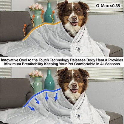 PetFusion Premium Cat and Dog Cooling Blanket - Lightweight, Machine Washable, Modern Design for Summer - Grey - XL (46 x 60 cm)