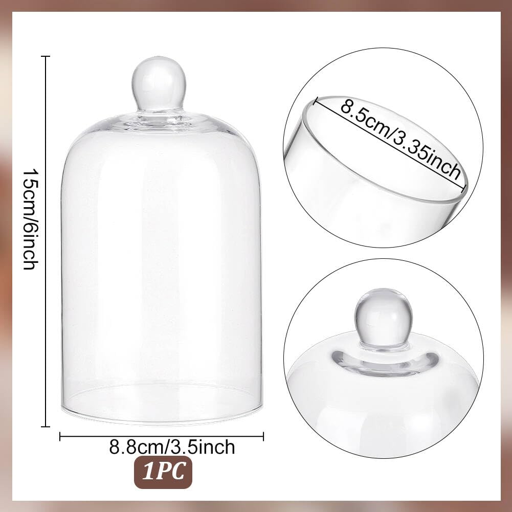 PH PandaHall 6x3.5 Inch Glass Dome Glass Cloche Mini Crystal Cloche Display Dome Vintage Style Pocket Watch Display Dome Bell Jar for Flower Jewellery Christmas Centerpiece Supplies, No Base