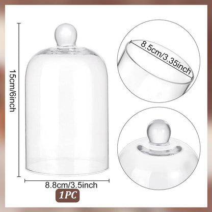 PH PandaHall 6x3.5 Inch Glass Dome Glass Cloche Mini Crystal Cloche Display Dome Vintage Style Pocket Watch Display Dome Bell Jar for Flower Jewellery Christmas Centerpiece Supplies, No Base