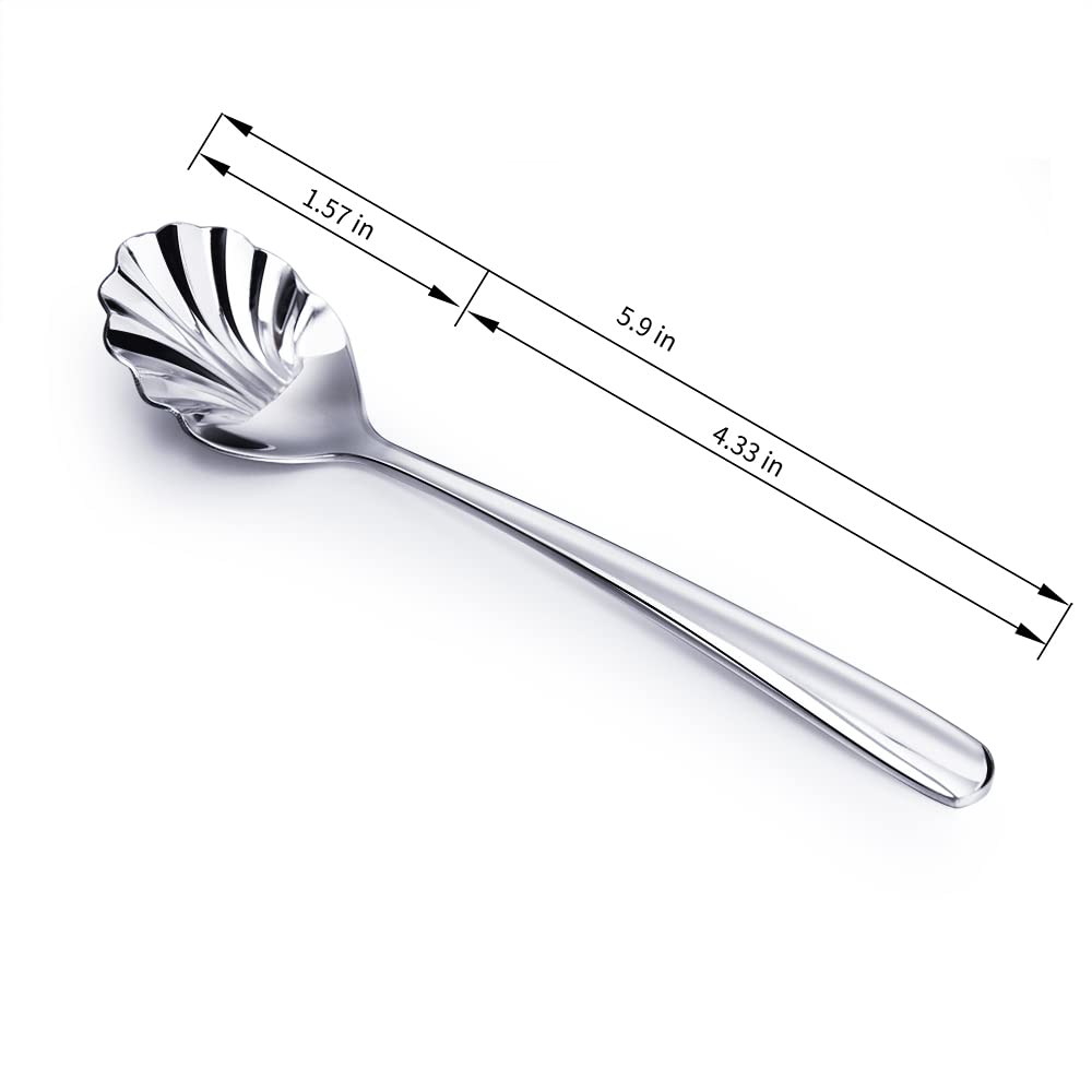 Stainless Steel Shell-Shaped Spoon, Sugar Spoon, Tea Spoon, Dessert Spoon for Coffee, Tea, Ice Cream, Appetizers & Charcuterie, Polished Silver, Reusable & Dishwasher Safe