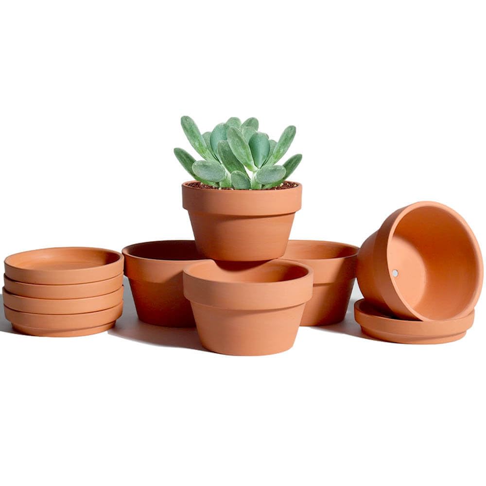 vensovo 3.7 Inch Terracotta Shallow Succulent Pots - 6 Pack Terra Cotta Clay Pot with Saucer, Cacuts Indoor and Outdoor Planters with Drainage Hole