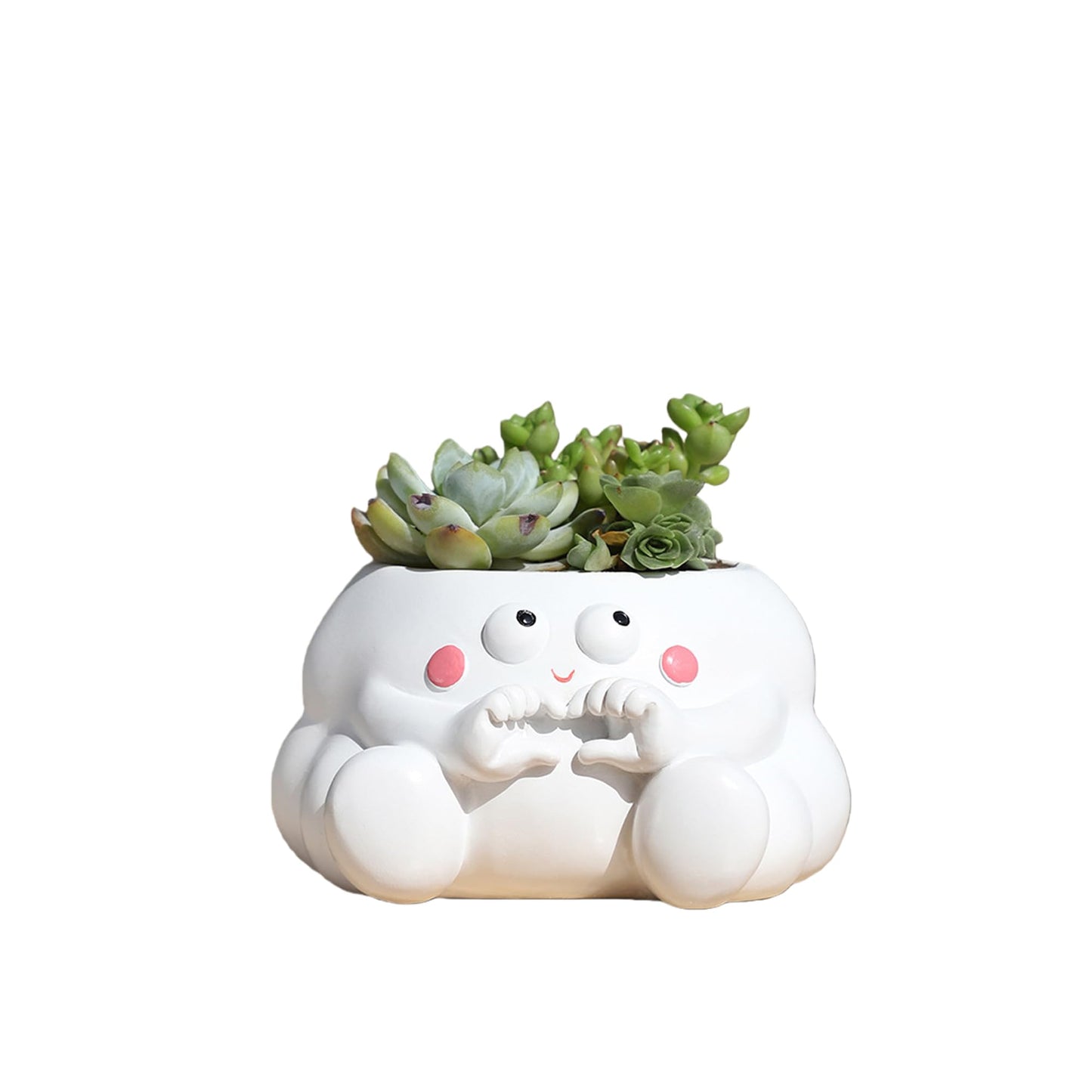 HDKXBEJ Cloud-Shaped Small Succulent Planters, 3.4''Dog Cute Plant Pots with Drainage Holes Funny Resin Flower Pots for Indoor Outdoor Home Office Gifts (C)