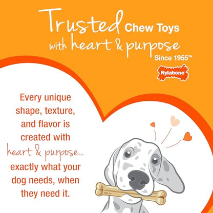 Nylabone Puppy Dog Teething Chew Toy Pacifier, Bacon Flavour, Extra Small, for Puppies Up to 7 kg, Blue/Pink